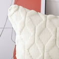 thumbnail image 2 of HAPPINESS Juego de 2 Fundas de Almohada Decorativas de Terciopelo de Lana Corta de Felpa Suave de 20x20 Pulgadas Fundas de Cojín de Estilo de Lujo Cuadradas Beige Funda, 2 of 6
