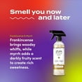 thumbnail image 3 of All-purpose cleaner - Natural all-purpose cleaner, contains essential oils, baking soda, etc. - Frankincense and myrrh, 16 liquid ounces, 3 of 4