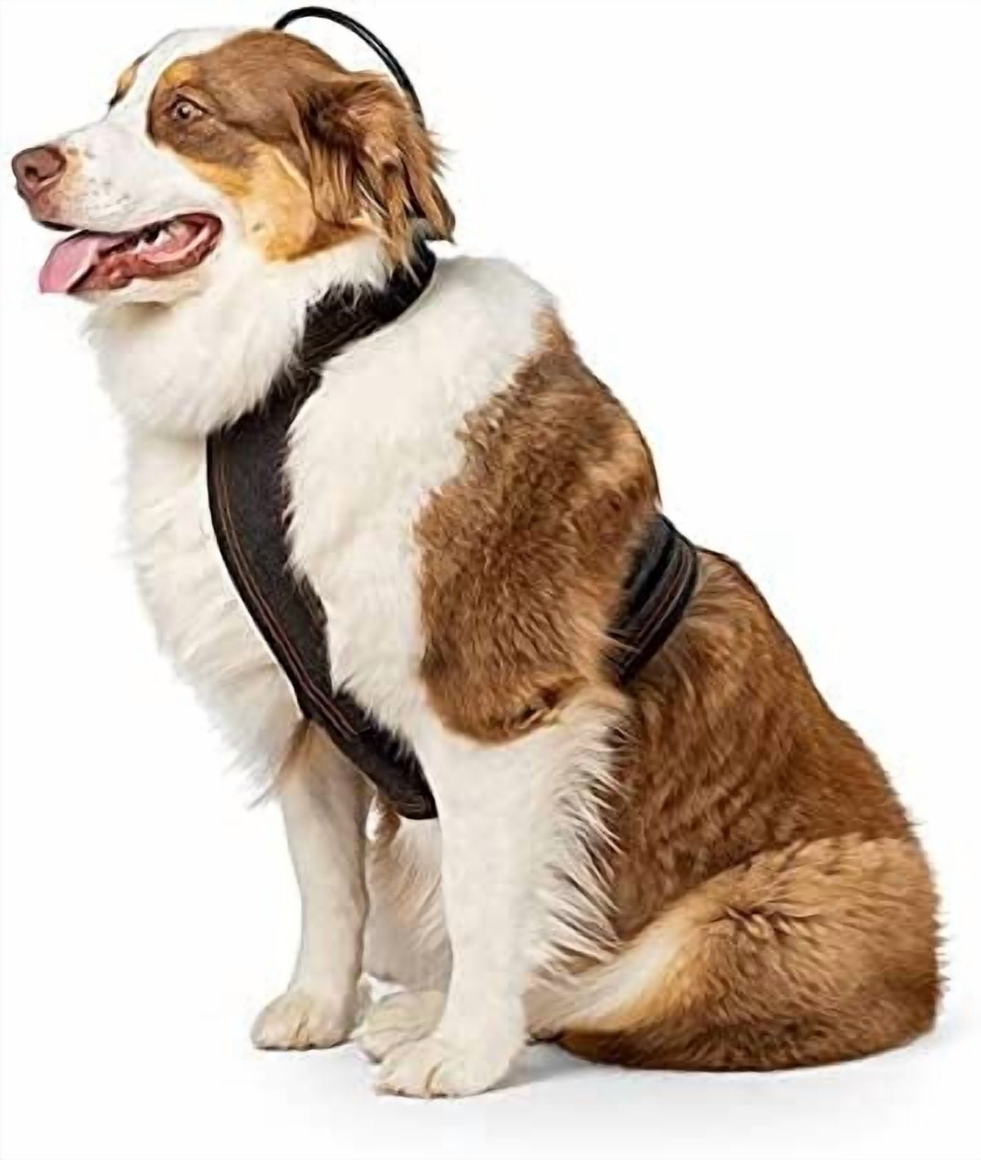Assisi Animal Health Loop Version 2.0 (20cm) Battery Replacement Service