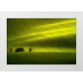 thumbnail image 1 of Banny, Peter 24x17 White Modern Wood Framed Museum Art Print Titled - Sunlight, 1 of 4