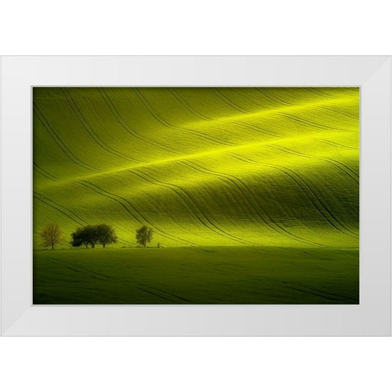 Banny, Peter 24x17 White Modern Wood Framed Museum Art Print Titled - Sunlight