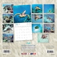 thumbnail image 3 of Pacifica Island Art, Hawaiian Sea Turtles 2025 Wall Calendar, 3 of 4