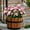 Pink, variant on Outdoor Artificial Azalea Flowers UV Resistant Greenery Faux Shrubs for Porch Garden Wedding
