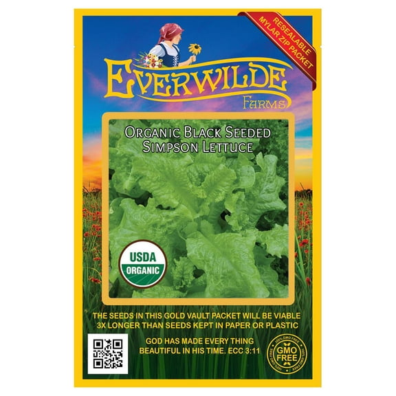 Everwilde Farms - 500 Organic Black Seeded Simpson Leaf Lettuce Seeds - Gold Vault Jumbo Bulk Seed Packet