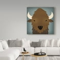 thumbnail image 3 of Trademark Fine Art 'Buffalo II' Canvas Art by Ryan Fowler, 3 of 3