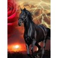 thumbnail image 1 of Conjunto de Pintura 5D DIY Diamante Sincero 30x40cm Niños Adultos Rose Cheval Noir, 1 of 5