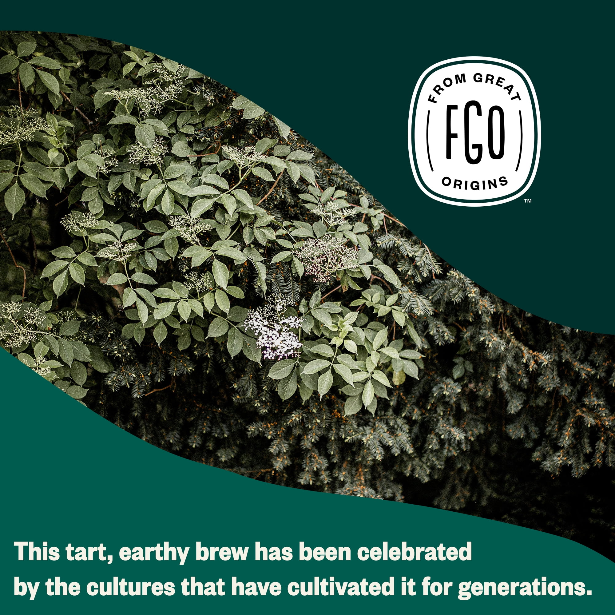 (2 pack) FGO Elderberry Tea, Organic, Eco-Conscious Tea Bags (20 Count)