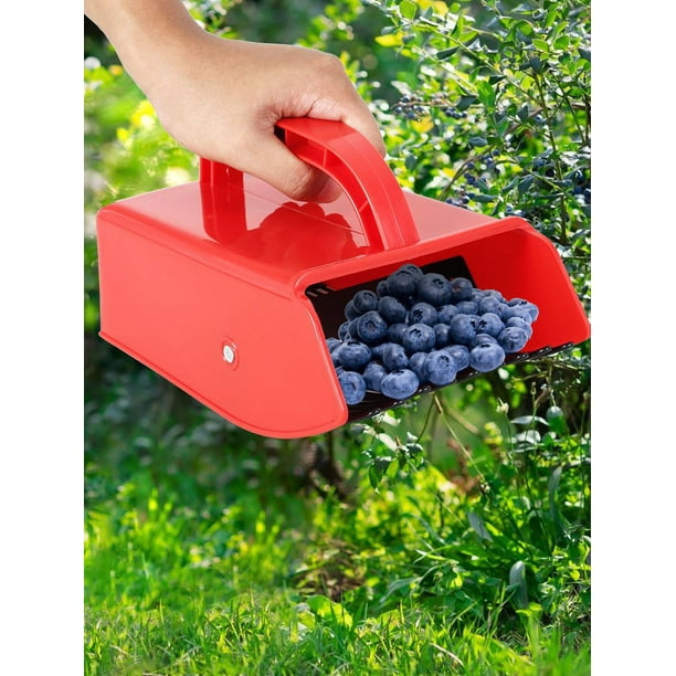 Peigne Cueilleur De Fruits Orion – Pour Groseilles, Myrtilles – Rouge – Neuf