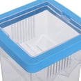thumbnail image 3 of HAMPPLIES Azul Para Aislamiento Y Cría De Peces En Acuarios, 3 of 7