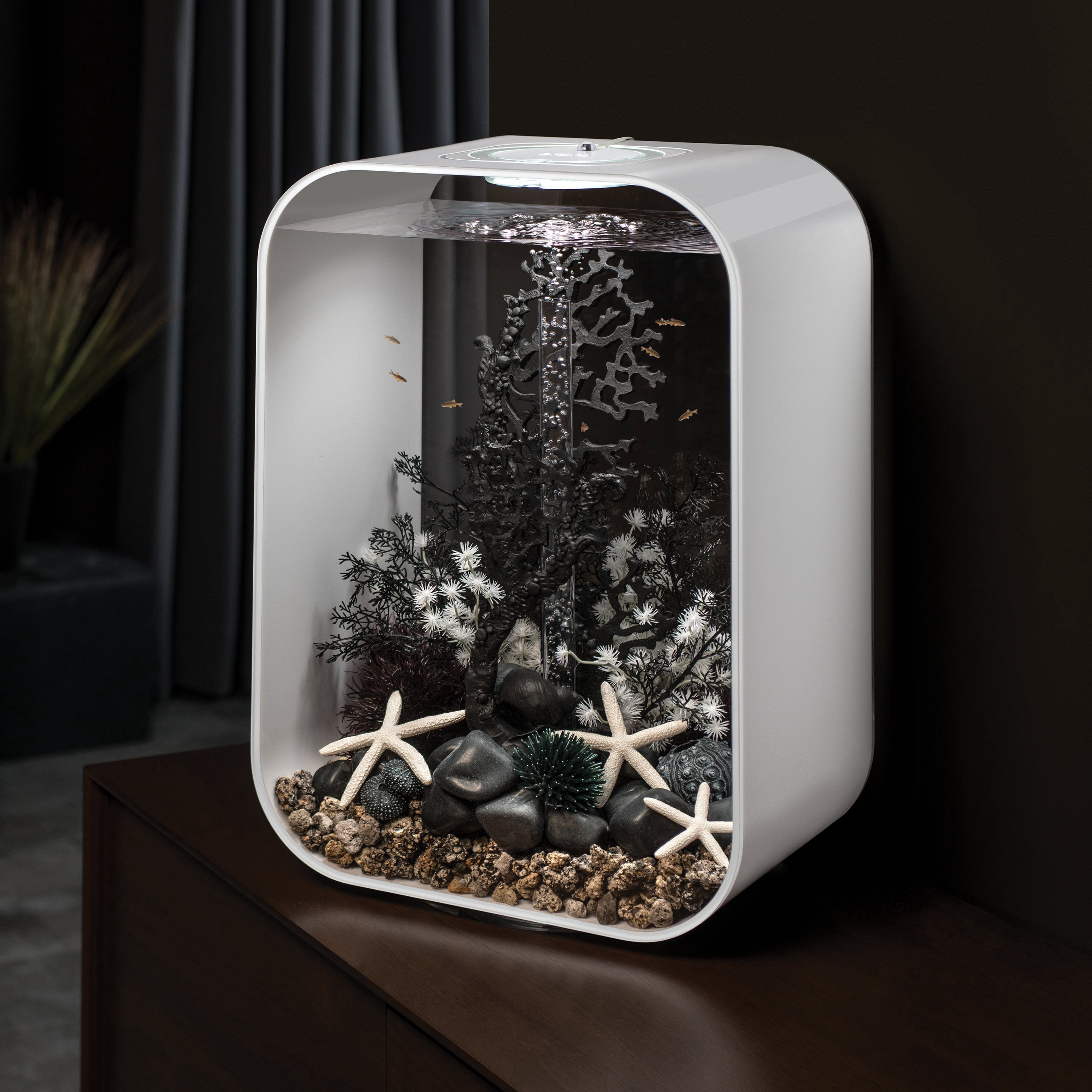 biOrb Charcoal Sea Urchins Set - Aquarium Decor
