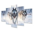 thumbnail image 2 of Designart "Dog Sledding Adventures in Alaska II" Animals Metal Art Print Set, 2 of 5