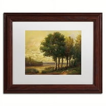 Trademark Fine Art "Tranquility" Canvas Art by Daniel Moises, White Matte, Wood Frame