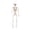 A, variant on Halloween Glowing Skeleton Decor, 39inch Realistic Light-Up Bone Figure Prop, Spooky Atmosphere Decoration for Haunted House Scene Party Setup
