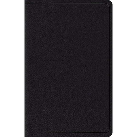 Wide Margin Reference Bible-ESV (Other)