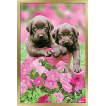 Keith Kimberlin - Labs Wall Poster, 22.375" x 34", Framed