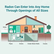 EmpowerDx Radon Test