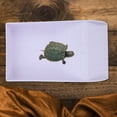 thumbnail image 1 of IFANLANDOR Plataforma De Para Reptil De Plástico ABS Con Comedero Y Bebedero En Uno, 1 of 8