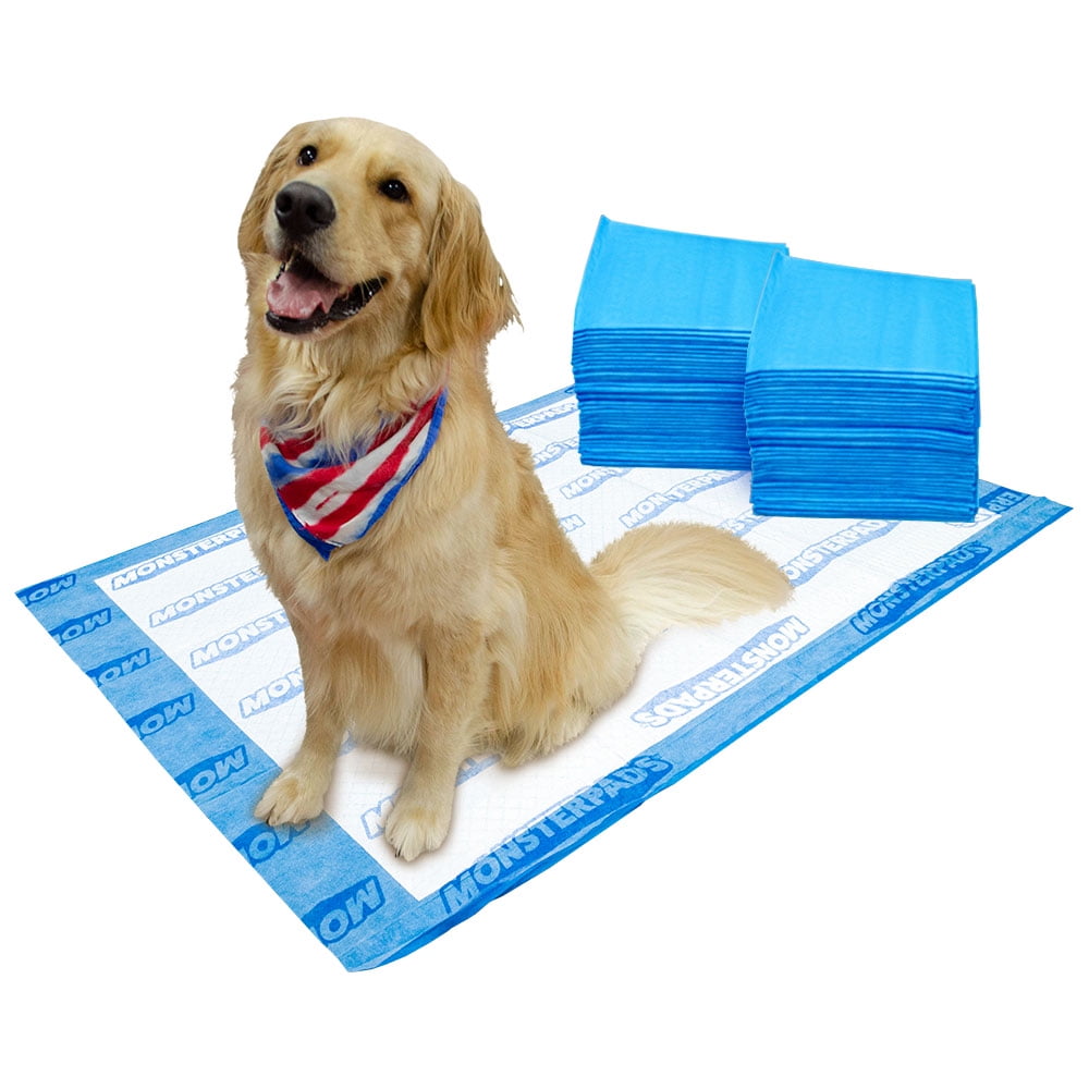 Big lots dog training pads