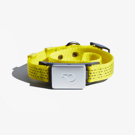UPC: 0850012916666 | Whistle Switch Smart Collar Kit – GPS location Health & Fitness – Waterproof GPS Pet Tracker with interchangeable batteries Athleisure (Yellow) S/M