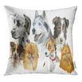 thumbnail image 1 of RYLABLUE Portraits Colorés Chien Races Siberian Husky Border Collie Jeter Taie d'Oreiller Housse de Coussin, 1 of 1