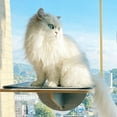 thumbnail image 4 of Climbing Glass Wall Cat Climbing Shelf Large Load Bearing Prevent Slip Odorless Suction Cup Window Cat Scratcher for Home, 4 of 5