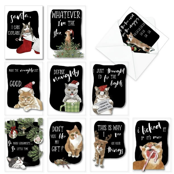 10 Hilarious Cat Christmas Cards Boxed Assortment of Holiday