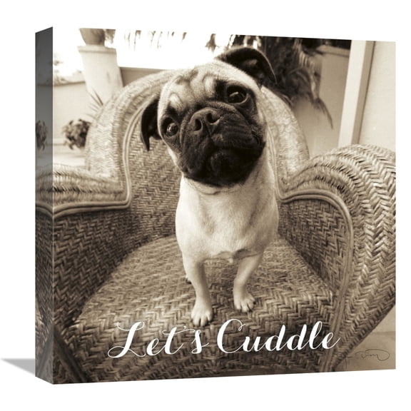 Global Gallery's 'Wonder Lets Cuddle Sq Script' By Jim Dratfield Stretched Canvas Wall Art