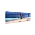 thumbnail image 3 of Trademark David Evans "Island Refuge" Gallery-Wrapped Canvas Art, 8" x 24", 3 of 4