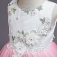 thumbnail image 6 of Fesfesfes Toddler Kid Girl Sleeveless Tulle Dress Lace Princess Gown Party Dress Cosplay Clothes Under 10$, 6 of 9
