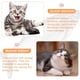 thumbnail image 5 of Artículos para mascotas Juguetes para mascotas Juguetes eléctricos para gatos y peces Productos estándar (carpa eléctrica + USB + hierba gatera ILoveMilan  ER, 5 of 5