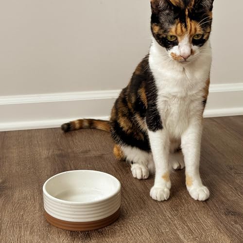 Ceramic Pet Bowl Size Small - Food/Water Dish for Puppy Dogs, Cats, Guinea Pig, Rabbit, Hamster, Snake, ect. 11oz or 2 Cups - Basic Bowls for Your Dog or Cat, Mix and Match for a Set - Vanillla