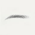 thumbnail image 3 of Unique Bargains Tatouage Simulation Sourcils pour Femmes 1 Pce Pointu, Noir, 3 of 5