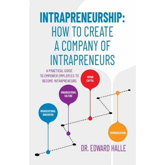 Intrapreneurship: How to Create a Company of Intrapreneurs, (Paperback)