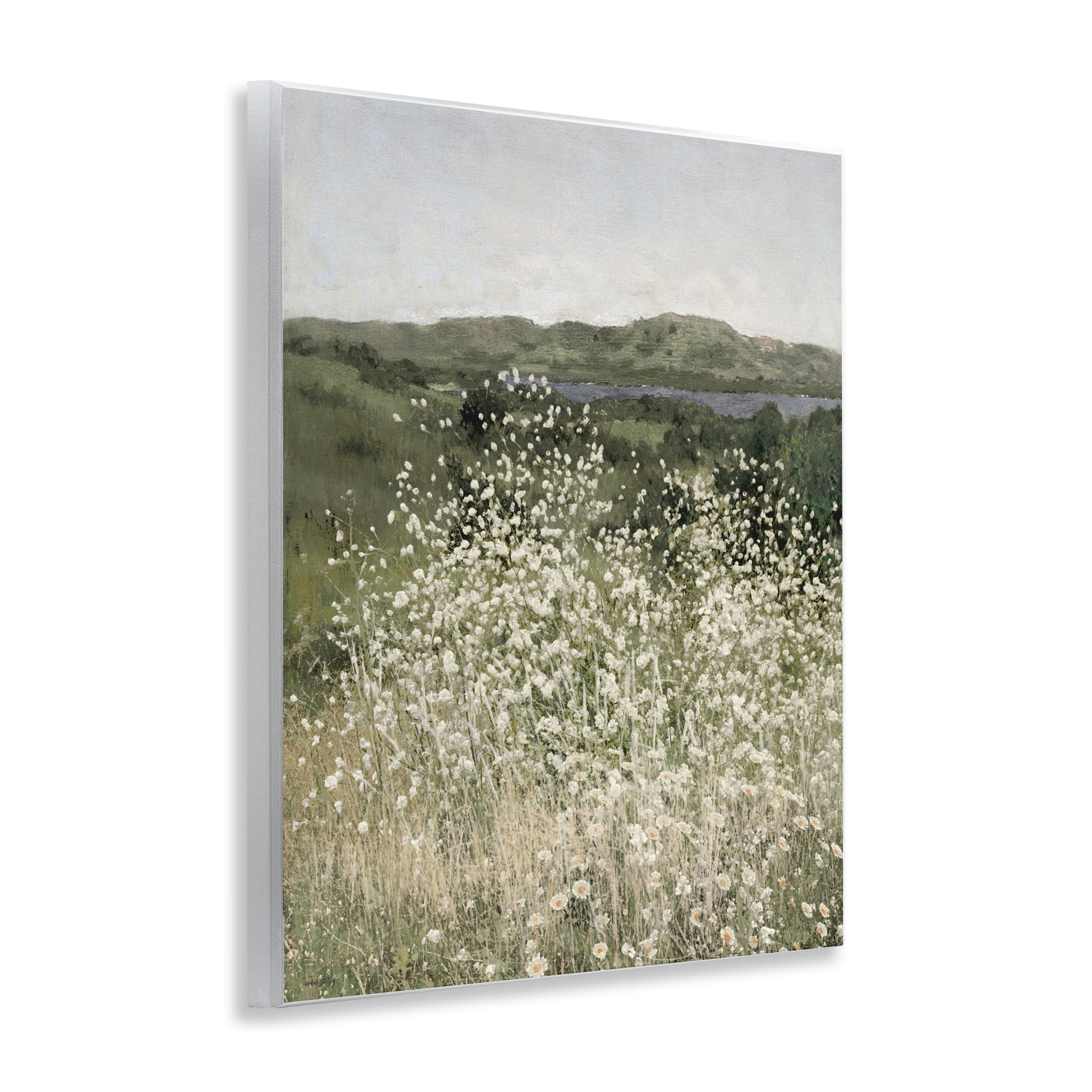 Stupell Industries Sunlit Meadow of White Daisies Wall Plaque Art, design by Amber Sterling