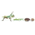 thumbnail image 1 of Insects Toy, Environmental Safe Growth Cycle Model, Odorless for Teaching Activities Education Children Playing, 1 of 7