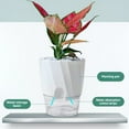 thumbnail image 3 of HLONK 6 Inch 4 Inch Self Watering Planter  White Terracotta Clay Pots with Glass Reservoir for Indoor Plants  Herbs  Flowers White Extra Large, 3 of 5