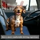thumbnail image 5 of Cinturón de Seguridad Doble para Perros de Nylon de Unique Bargains, Resistencia de Cabezal de Auto para Mascotas, Color Negro, 5 of 6