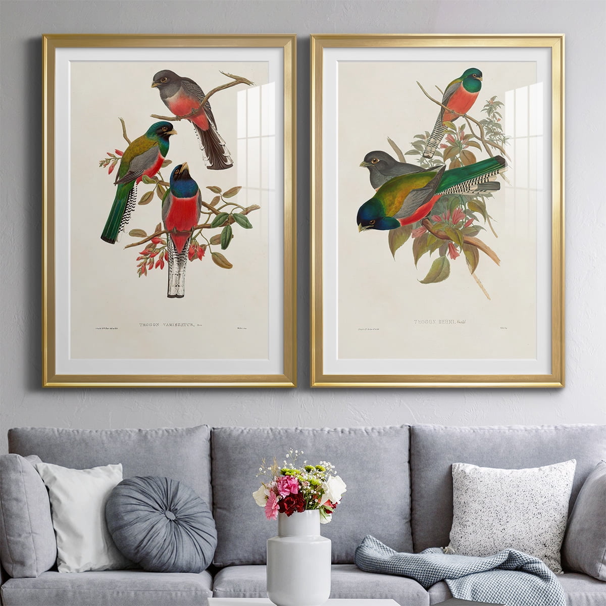 Wexford Home Elegant Trogons IX Premium Framed Print, 22.5" x 30.5" - Ready to Hang, Gold (Set of 2)