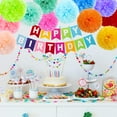 thumbnail image 7 of Pack of 15 10" Birthday Paper Pom Poms (12 Colors), Happy Birthday Party Bunting Banner, Rainbow Paper Garland for Birthday Party Decorations, 7 of 7