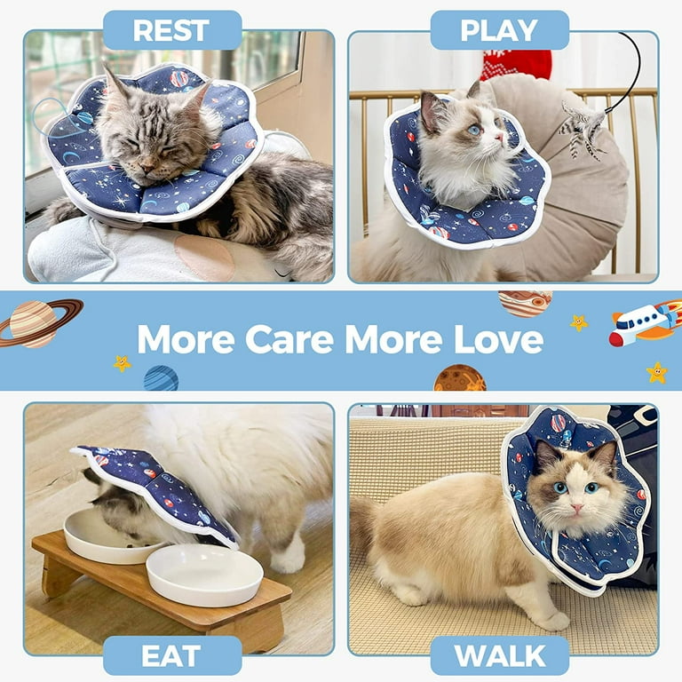 Novaguard recovery collar discount