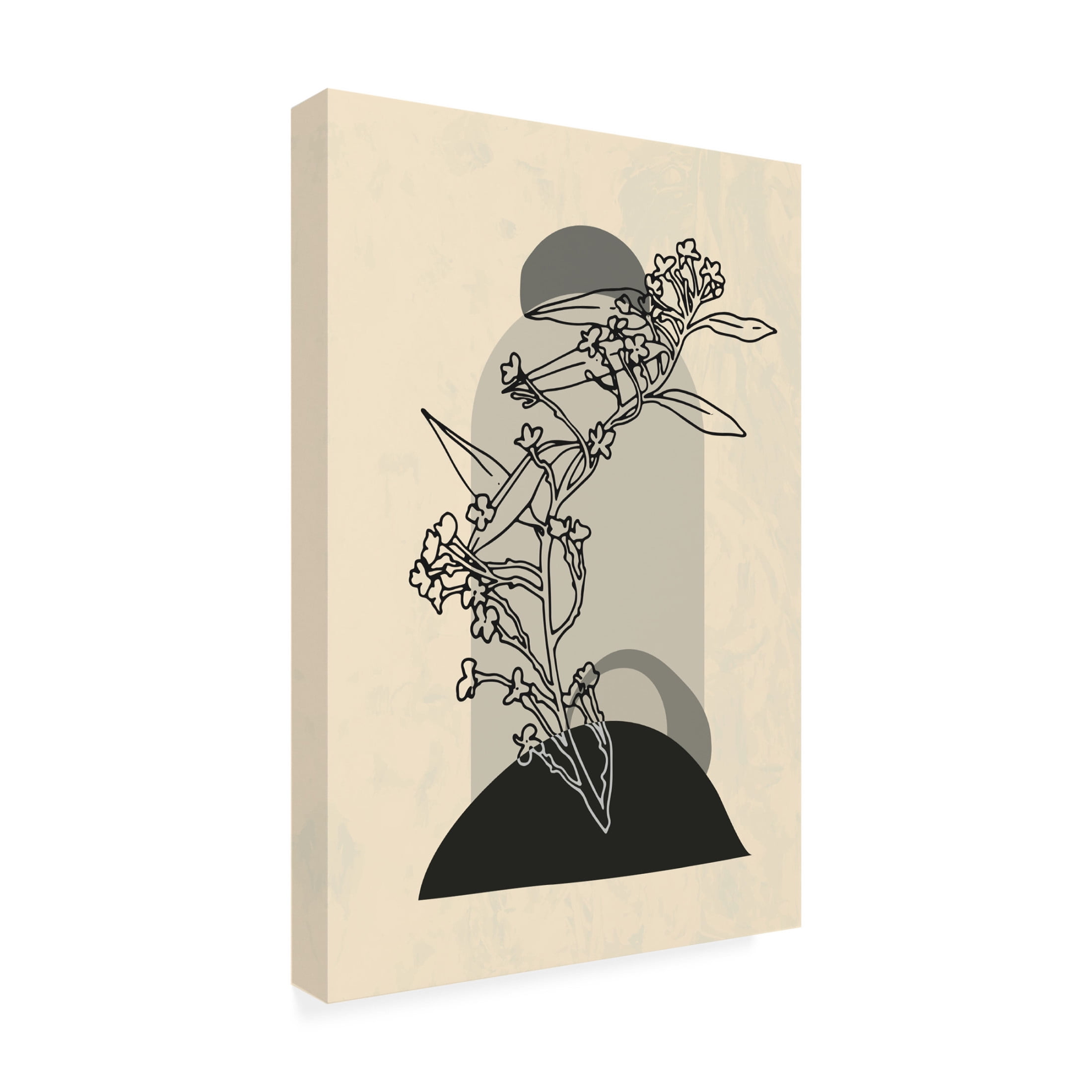 Trademark Fine Art NKTN   Abstract Flower 5 Canvas Wall Art