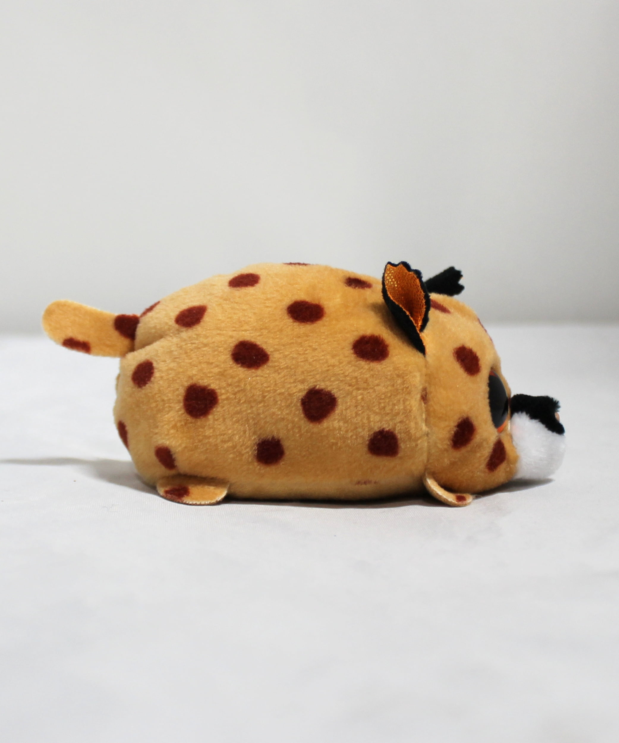 ぬいぐるみ ty Ty Teeny Kenny Lynx 4