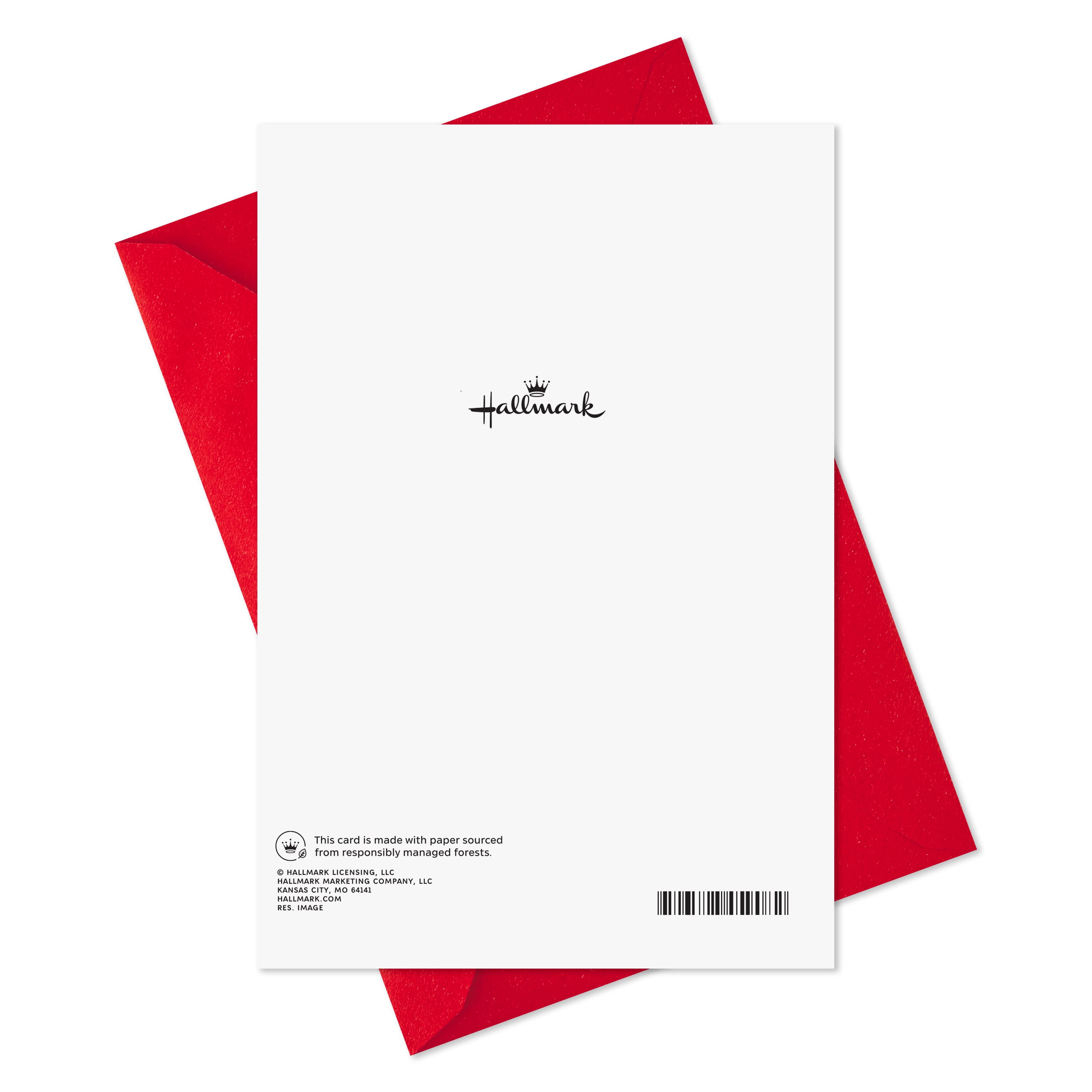 Hallmark Christmas Thank-You Greeting Card (With Warm Appreciation)