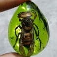 thumbnail image 2 of Amber Style Insect Pendant Handmade Drop Resin Single Pendant Necklace Jewelry for Men Women Nature Inspired Charm, 2 of 8