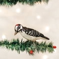 thumbnail image 2 of Old World Christmas Bird Watcher Collection Glass Blown Ornaments for Christmas Tree Woodpecker, 2 of 3