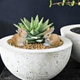 thumbnail image 3 of DAMAIE Resin Bunny Figurines Bunny Garden Ornaments Chic Bunnies Easter Decoration, Resin Easter Bunny Rabbit Table Decorations Ornaments for Spring or Home, 3 of 5