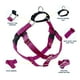 thumbnail image 2 of 2 Hounds Design Freedom Arnés para perros sin tirones Arnés ajustable Fácil de caminar y control cómodo Se adapta a perros pequeños, medianos y grandes Colores sólidos Hecho en EE. UU. 1" LG Raspberry, 2 of 5