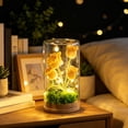 thumbnail image 6 of Handmade Crochet Flower of the Valley Night Light, Glass Dome LED Knitted Flower Lamp for Bedroom Desktop, Warm Romantic Ambiance Gift for Women Mom, 6 of 7