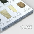thumbnail image 3 of Beer Info Graphic Premium Gallery Wrapped Canvas - Ready to Hang, 3 of 9