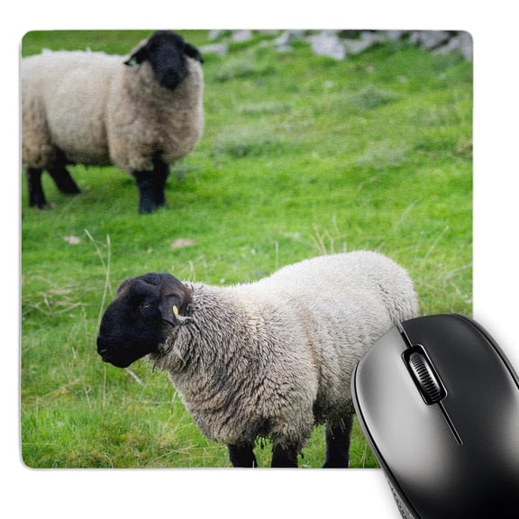 3dRose, Suffolk Sheep, Shetland Islands. Shetland, Northern Isles, Scotland. , MousePad